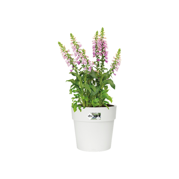 vibia straight rond 40cm wit